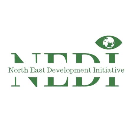 NEDI